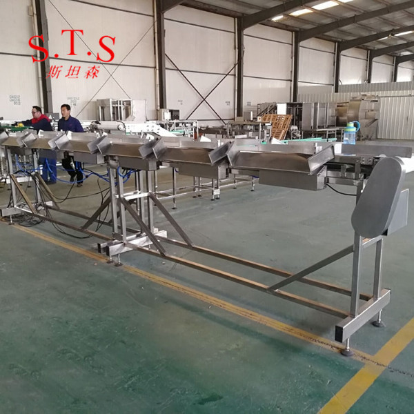 自動(dòng)稱(chēng)重分級(jí)設(shè)備Grader