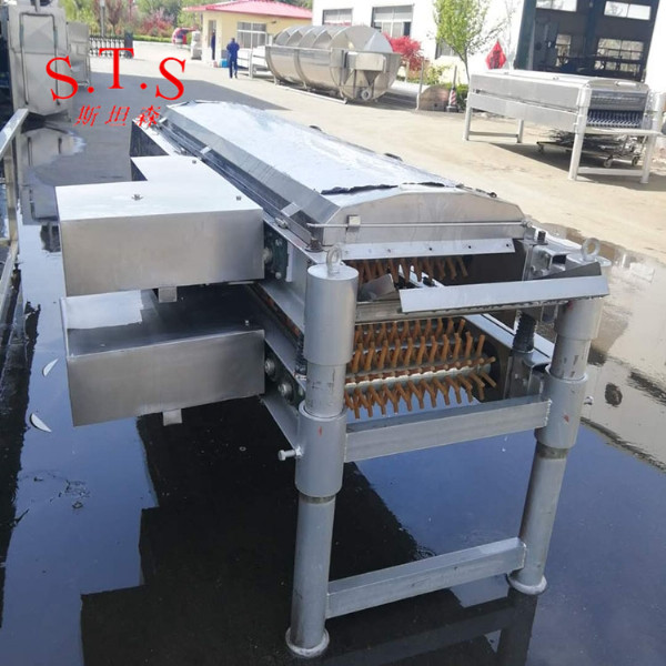 九輥鴿子脫毛機